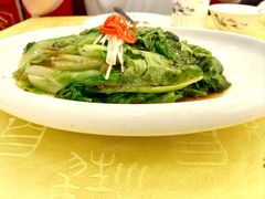 白灼罗马生菜-同和居(什刹海店)