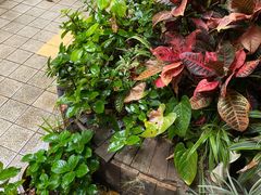 -默迹咖啡馆
