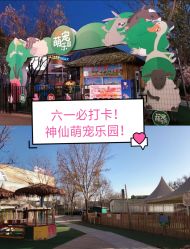 -萌宠亲子动物乐园(槐房万达店)