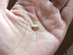 -宠物家(角门东店)