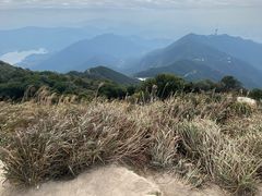 -梧桐山风景名胜区