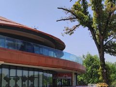 -如意山房柿子树下餐厅