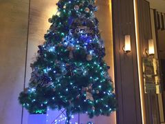 -上海崇明金茂凯悦酒店