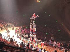 -广州长隆国际大马戏