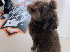 -佳雯宠物医院(金华南路分院)