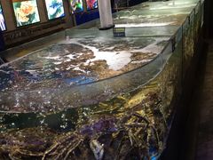 蟹之国-蟹之国·精品蟹料理(极地店)