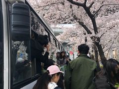 -上海南浦大桥长途旅游客运站