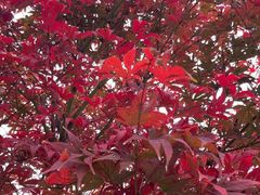 -汉中石门栈道景区