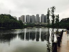 -重庆彩云湖湿地公园