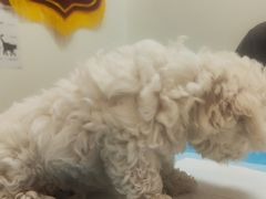 -美联众合24小时·皮肤科·外科·全科诊疗中心(华苑分院)