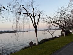 -浙江西子宾馆·瑶园咖啡厅