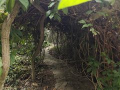-广西壮族自治区药用植物园