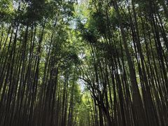 -宝岩生态观光园