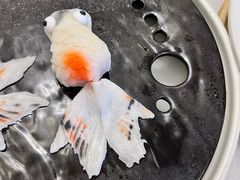 -富淳饭店(世纪公园店)