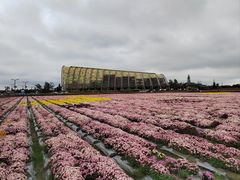 -中国天府农业博览园