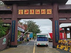 -北海金海湾红树林生态旅游区