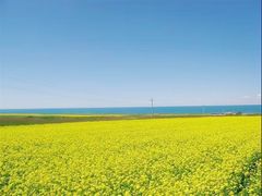 -青海湖国家重点风景名胜区