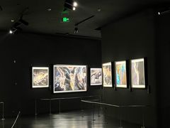 -罗红摄影艺术馆