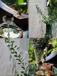 -花隐·美芙炫海菲秀皮肤管理中心