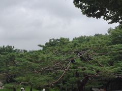 -景福宫