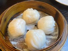 -添运来(茶园奥园广场店)