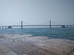 -星海湾跨海大桥