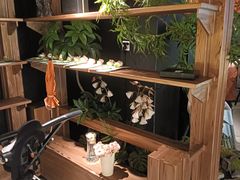 -芸山季·云南山珍菌火锅(人民广场来福士店)