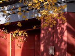 -月坛公园
