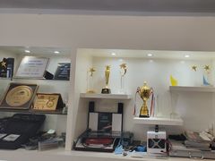 -车艺佳龙膜隐形车衣汽车贴膜(宝山丰宝店)
