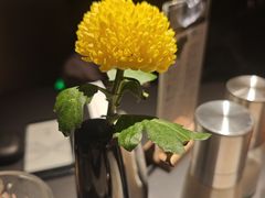 -拉蒂娜·巴西牛排馆 Latina·Brazilian Steakhouse(铜仁旗舰店)