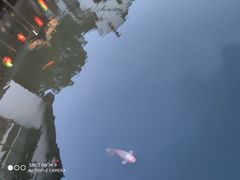 -绍兴饭店知遇楼(环山路店)