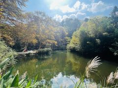 -阿哈湖国家湿地公园