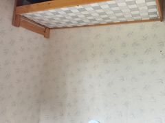 景点-金山农民画村-枫泾波兰倒置屋