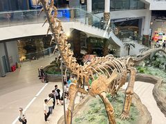 -辽宁古生物博物馆