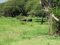 -卡塞拉自然公园