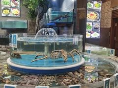 -金海湾海鲜总店
