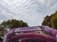-南汇桃花村