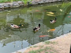 -春风习习