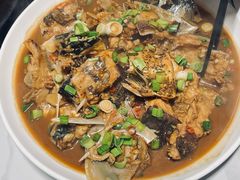 -全乐鱼馆·淳牌有机鱼直营店