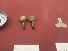-衢州市博物馆