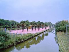 -苏州太湖西山岛开心农场