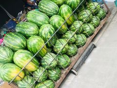 -双福水果批发市场