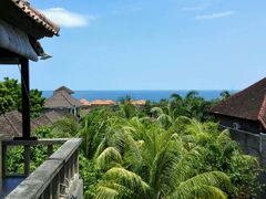 -飞鱼&摩娜潜水度假村