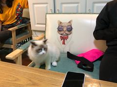 -李小姐の猫咖啡馆(五角场店)