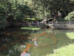 -普陀山风景名胜区-法雨禅寺