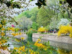 -海棠花溪(元大都城垣遗址公园)