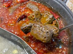 -阳阳老火锅(小南门店)