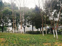 -后襄河公园