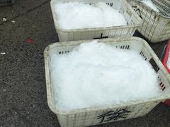 -白沙洲农产品大市场-海鲜交易区