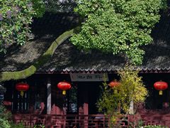 -上海醉白池公园